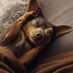 Ersteller:in Christine Profilbild