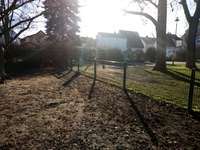 Hundeauslaufgebiet-Hundewiese im Stadtpark-Bild