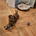 Ersteller:in Akx Profilbild