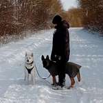 Ersteller:in Fabienne Profilbild