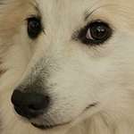 Ersteller:in Steffi Profilbild