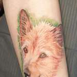 Andenken nach dem Verlust des Seelenhundes-Beitrag-Bild