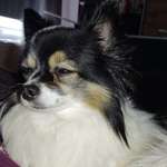 Ersteller:in Sarita Profilbild