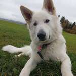 Ersteller:in Gabi Profilbild