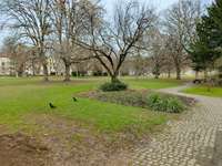 Hundeauslaufgebiet-Kurpark Bad Cannstatt-Bild