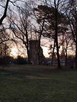 Hundeauslaufgebiet-Kurpark Bad Cannstatt-Bild