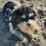 Ersteller:in Britta Profilbild