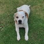 Ersteller:in Gruno Profilbild