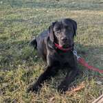 Ersteller:in Angelina Profilbild