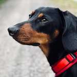 Ersteller:in Kim Profilbild