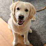 Ersteller:in Jasmin Profilbild