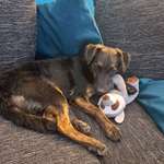 Ersteller:in Sarah Profilbild