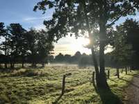 Hundeauslaufgebiet-Riede Bach-Bild