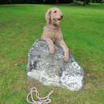 Ersteller:in Christiane Profilbild