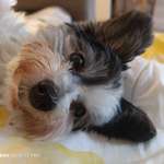 Ersteller:in Jens Profilbild