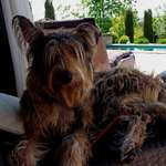 Ersteller:in Christine Profilbild