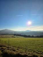 Hundeauslaufgebiet-Siechenberg-Bild