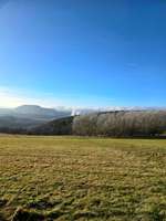 Hundeauslaufgebiet-Siechenberg-Bild