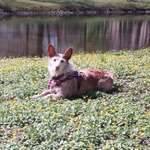 Ersteller:in Jessica Profilbild