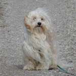 Ersteller:in Kathrin Profilbild