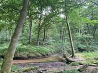 Hundeauslaufgebiet-An der Burg/Silvertbach-Bild