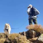 Ersteller:in Marcel Profilbild