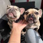 Ersteller:in Emilia Profilbild