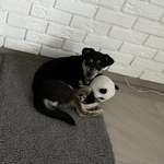 Ersteller:in sonja Profilbild