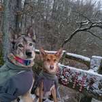 Ersteller:in Sam Profilbild