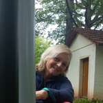 Ersteller:in Anshie Profilbild