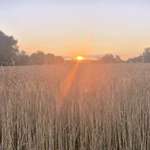 Ersteller:in Carina Profilbild