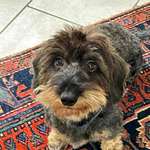 Ersteller:in Petra Profilbild