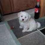 Ersteller:in Claudia Profilbild