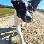 Ersteller:in Saskia Profilbild