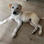 Ersteller:in Sabrina Profilbild