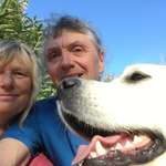 Ersteller:in Roland Profilbild