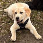 Ersteller:in Dennis Profilbild