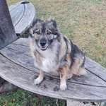 Ersteller:in Harald Profilbild