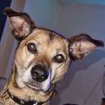 Ersteller:in Paddy Profilbild