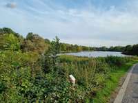 Hundeauslaufgebiet-Ölbachtal Ümminger See-Bild