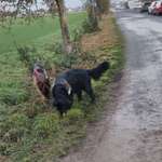 Ersteller:in Christine Profilbild