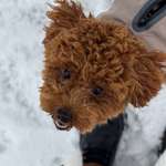 Ersteller:in Kristina Profilbild