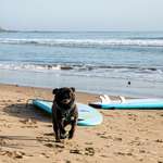 Ersteller:in Selina Profilbild