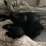 Ersteller:in Jennifer Profilbild