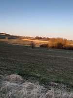 Hundeauslaufgebiet-Vogelar in Scherfede-Bild