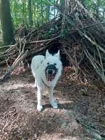 153. Foto Challenge - Dinge die im Alltag Helfen-Beitrag-Bild