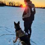 Ersteller:in Anni Profilbild