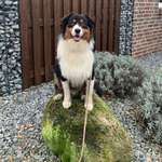 Ersteller:in Michaela Profilbild