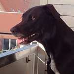 Ersteller:in Katja Profilbild