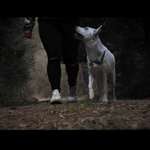 Ersteller:in Annika Profilbild